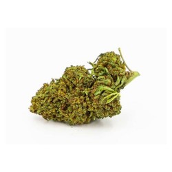 MANGO HAZE