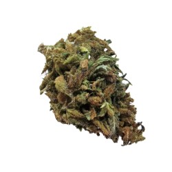 Mango CBG