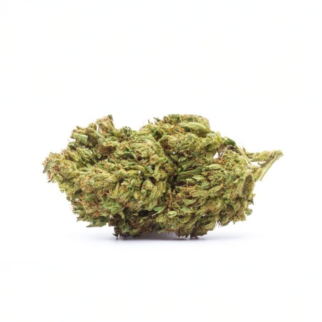 copy of copy of Amnésia Indoor - 1GR