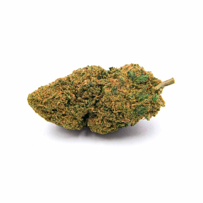 copy of copy of Amnésia Indoor - 1GR