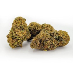 Critical Berry CBD
