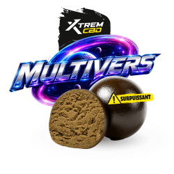 MULTIVERSE HE