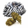 WHITE WIDOW HE