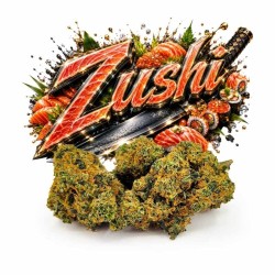 ZUSHI HE