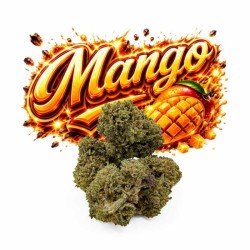 MANGO HE