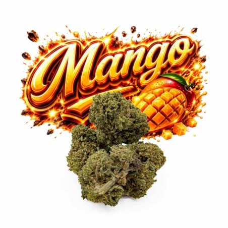 MANGO HE