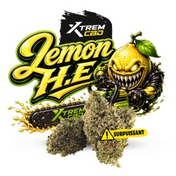 Lemon HE+