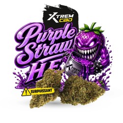 Purple Straw HE+