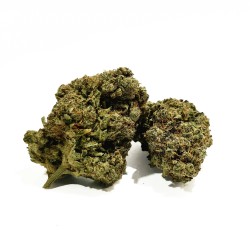 Skittlz