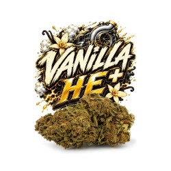 Vanilla HE