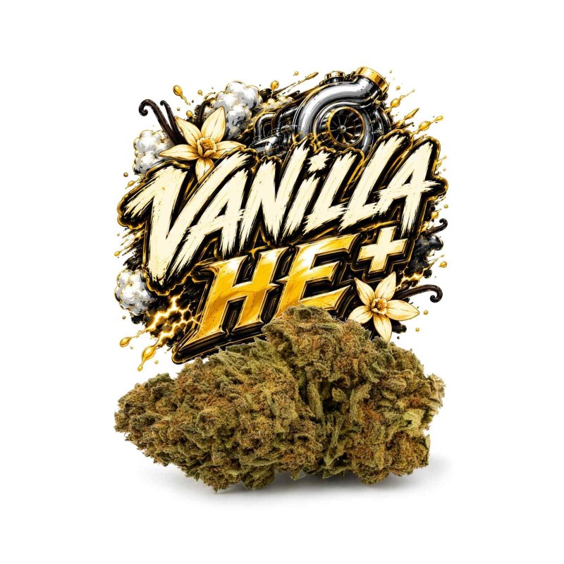 Vanilla HE
