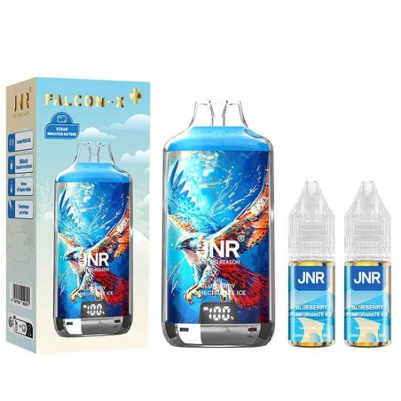 JNR Falcon X 28000 Blueberry Pomegranate Ice